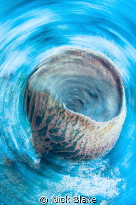 Coral swirl - in water spin shot taken in Misool, Indonesia. by Nick Blake 